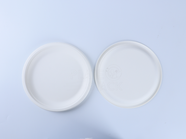 Comfy Package 100% Compostable 9 inch Heavy-Duty Plates [125 Pack] Eco-Friendly Disposable Sugarcane Paper Plates